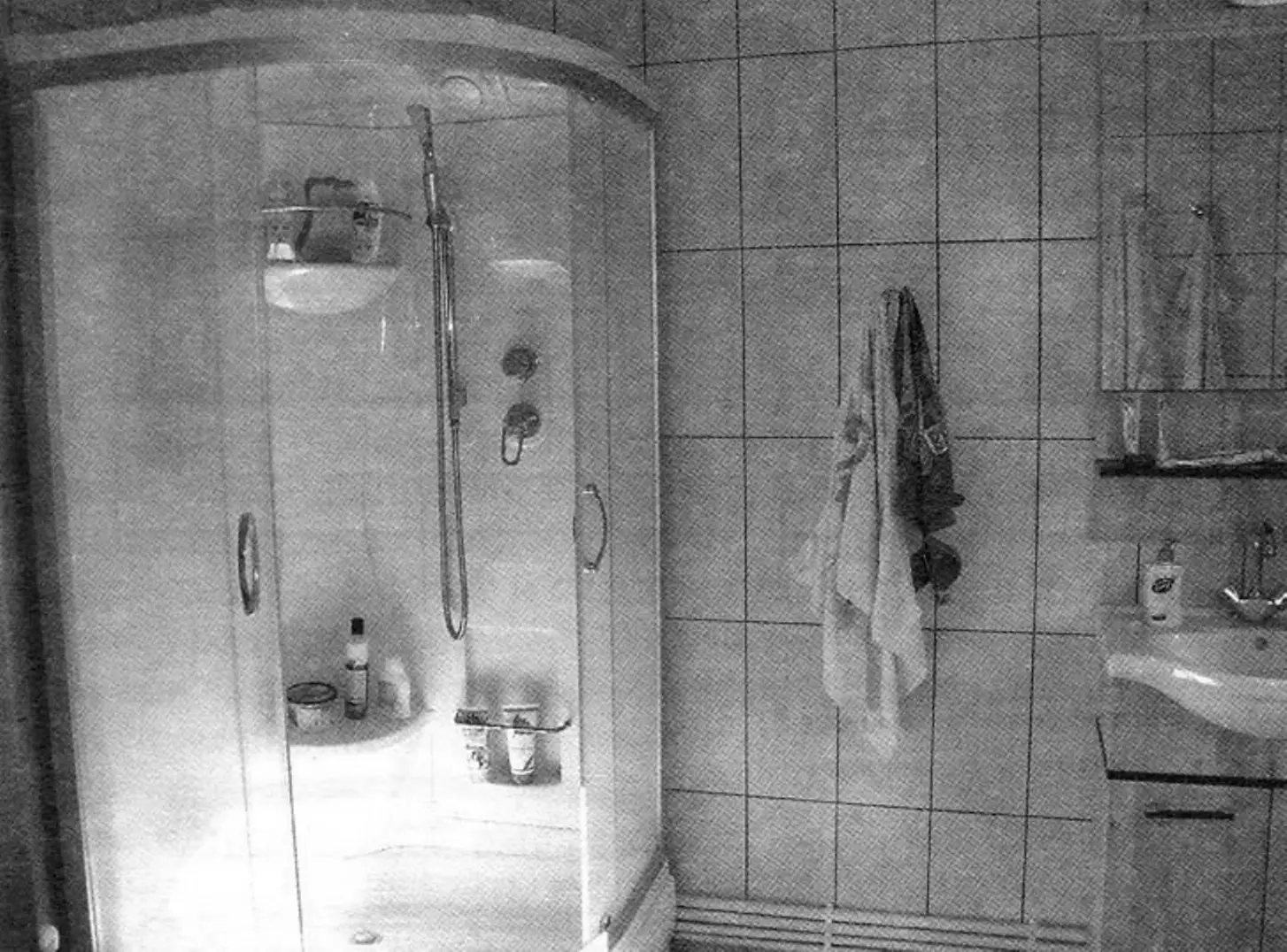 The shower cabin and sink are located side by side