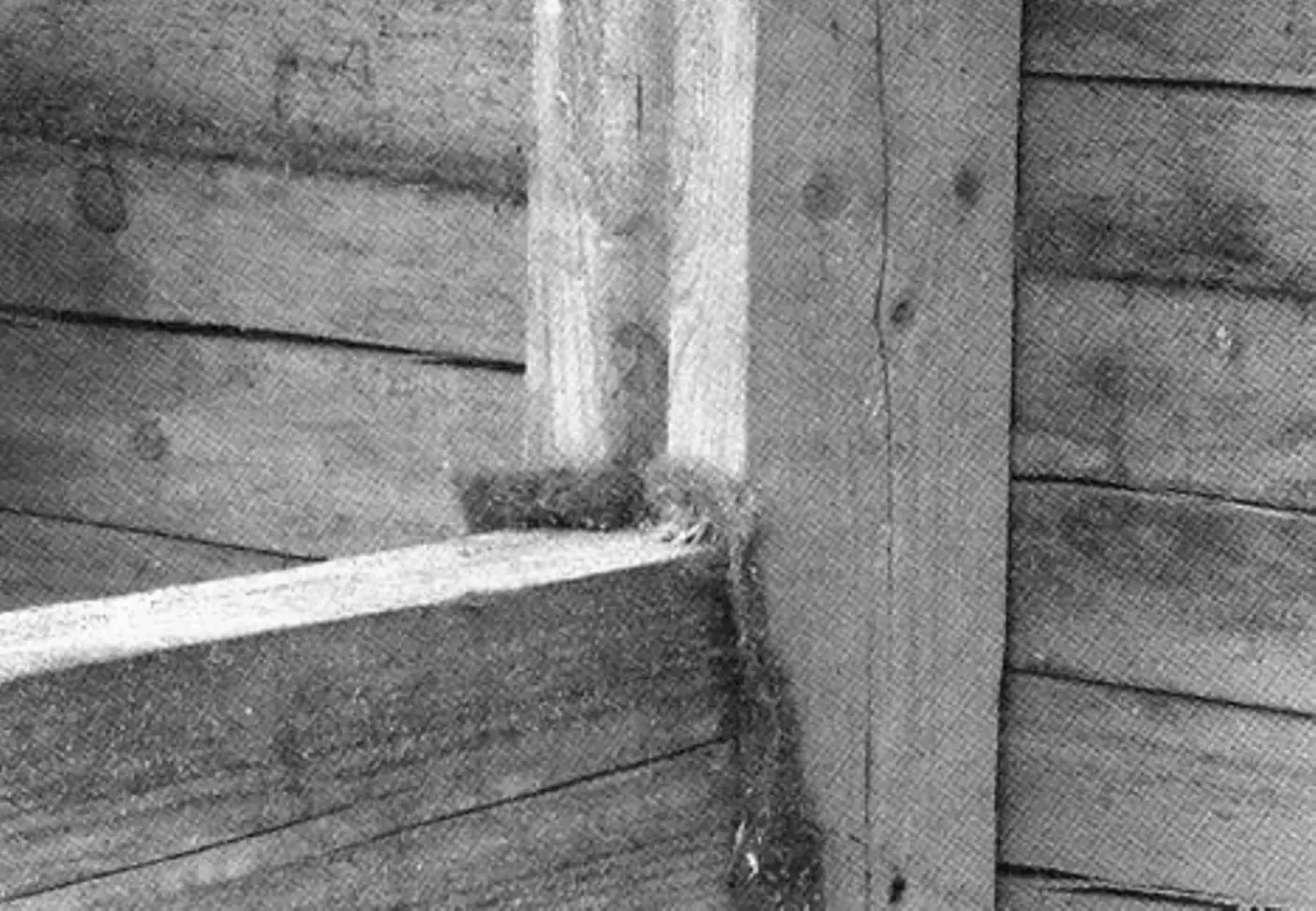 Joint between wall beams and a vertical post fixed to the log frame