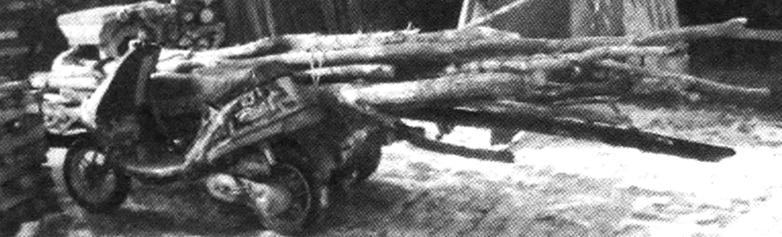 From the forest with firewood along a packed winter road