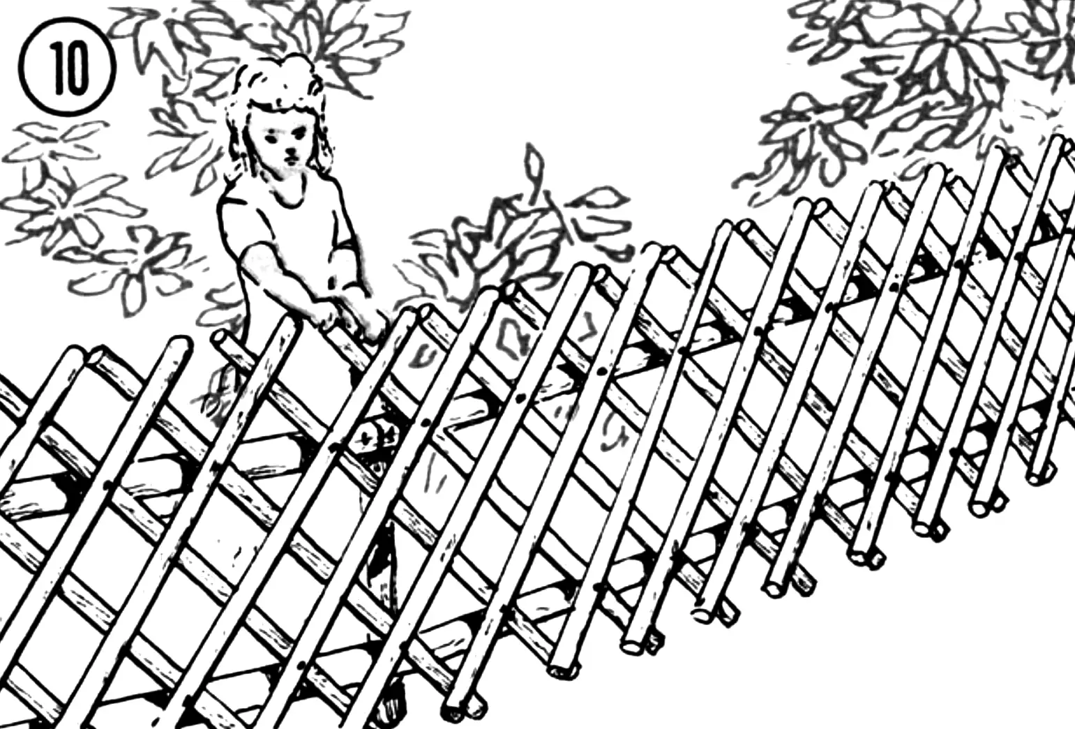 Fig. 10.