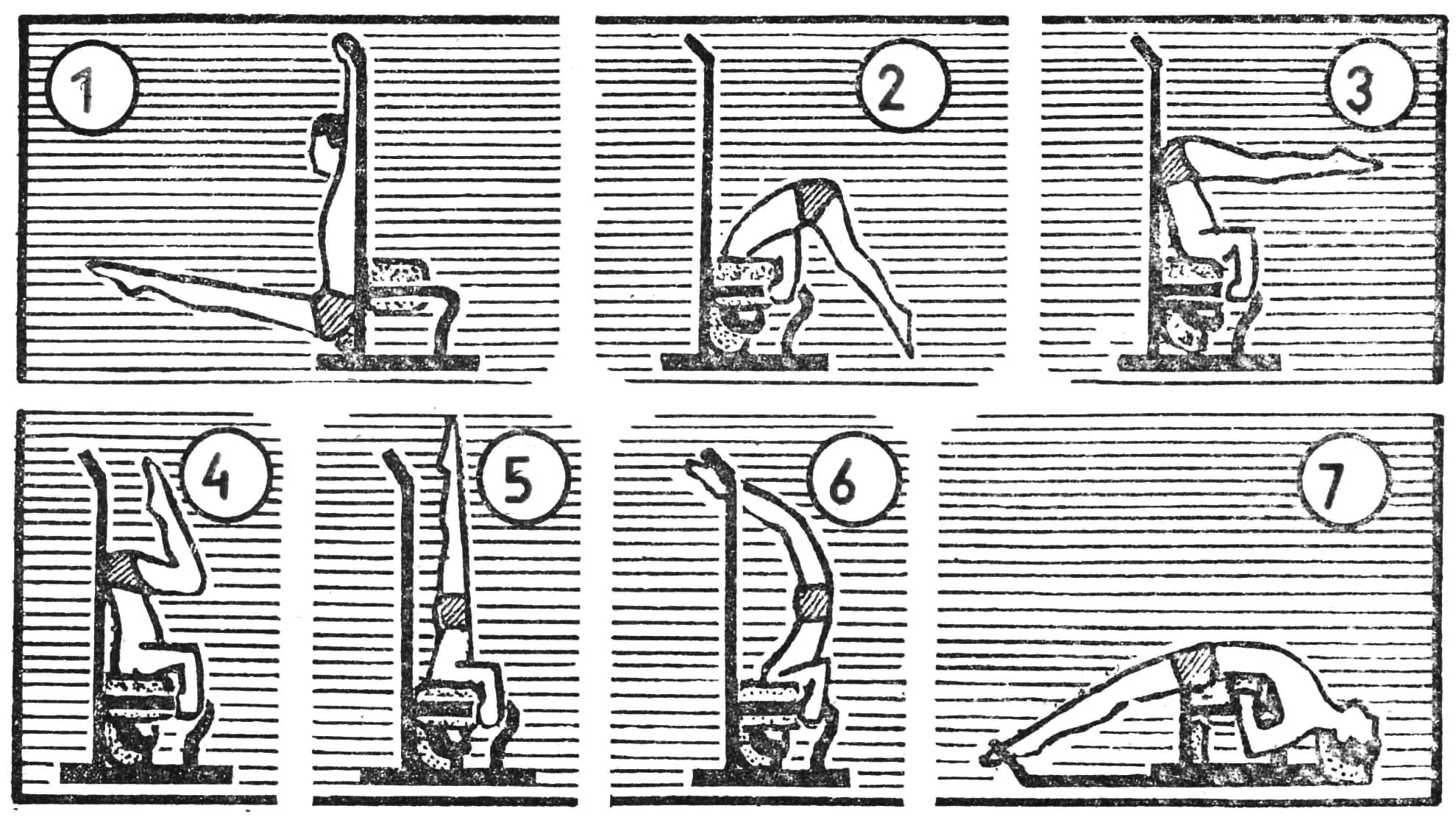 Universal exercise apparatus
