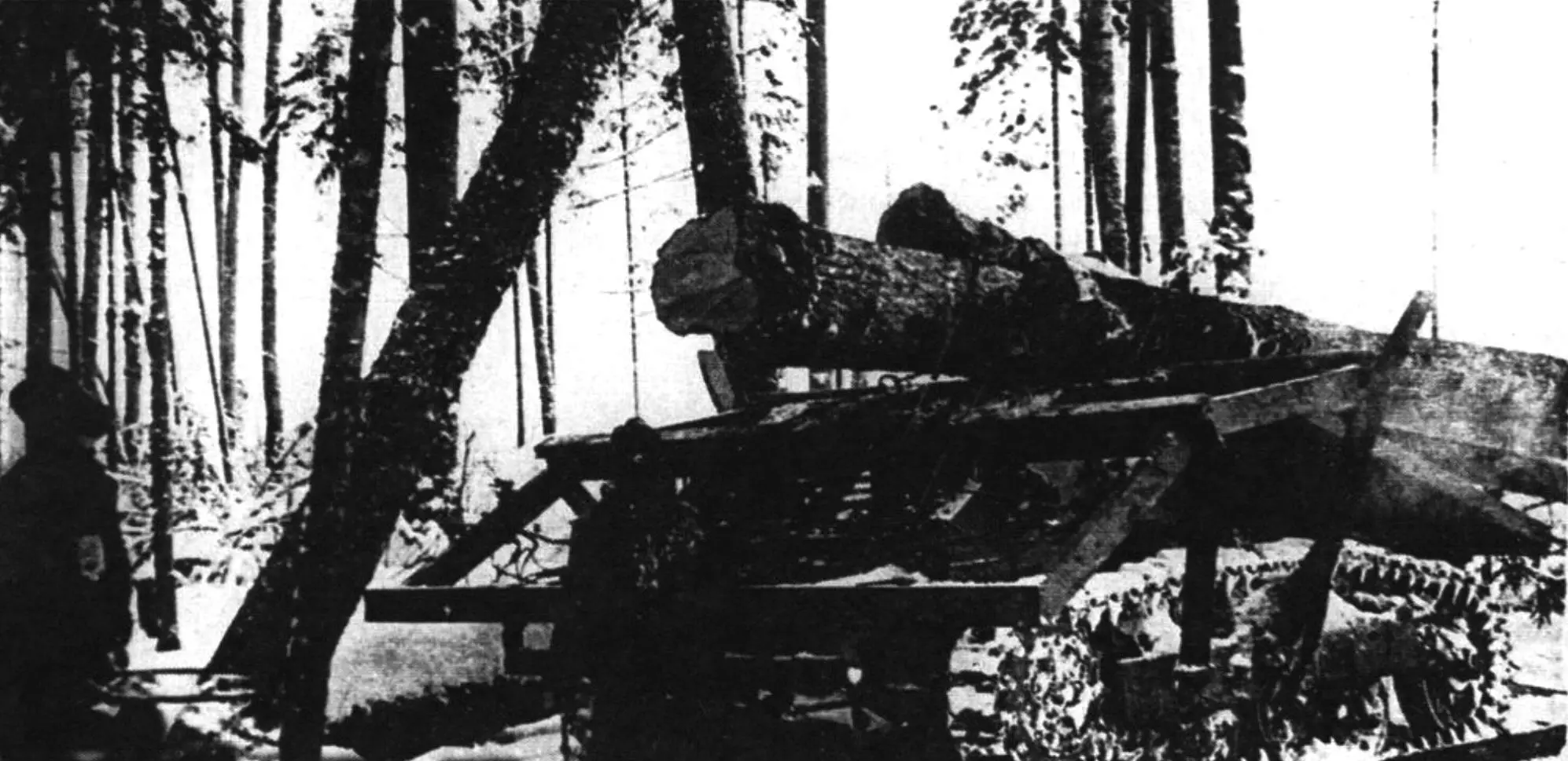 Валочно-трелевочная машина ВТМ-5 на базе тягача М-5
